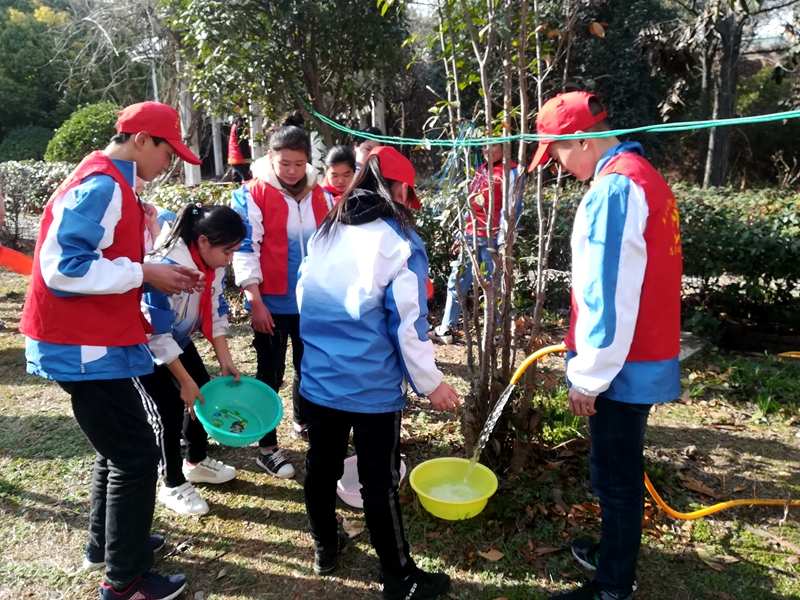 志愿服务 (4).jpg